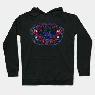 Shield of Athena (full color variant) Hoodie